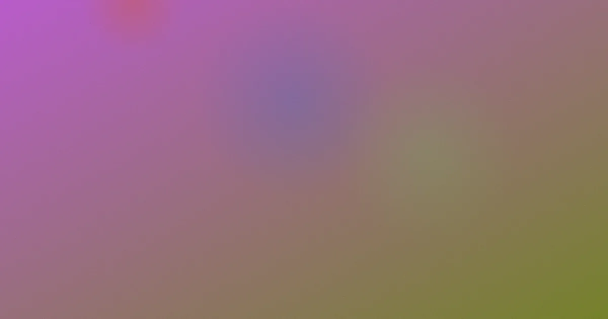 成年免费视频推荐新手版